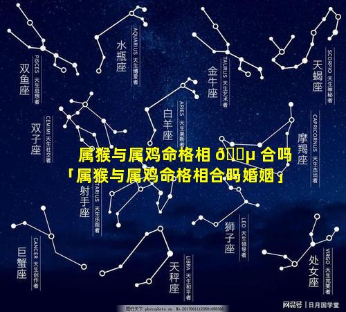 属猴与属鸡命格相 🐵 合吗「属猴与属鸡命格相合吗婚姻」